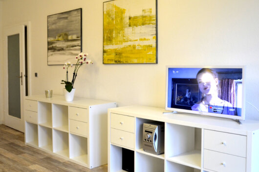 Wohnbereich der Ferienwohnung in Laubegast mit weißen Regalmöbeln, Deko und Fernseher